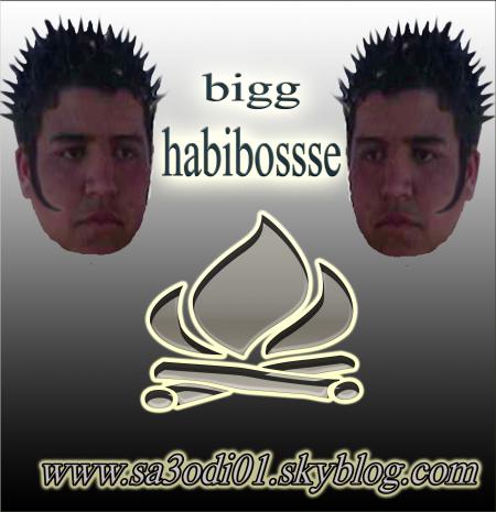 habigbosse